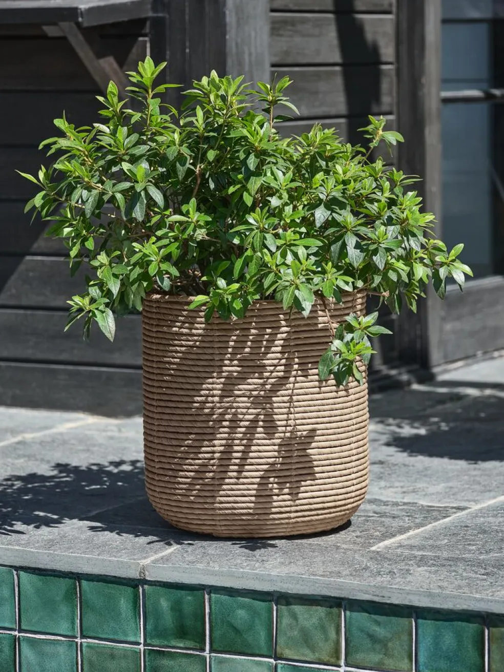 GULSANGERPanier pour plantes GULSANGER Ø40xH42 naturel