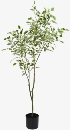 GUNNULFPlante artificielle GUNNULF H150cm a/pot