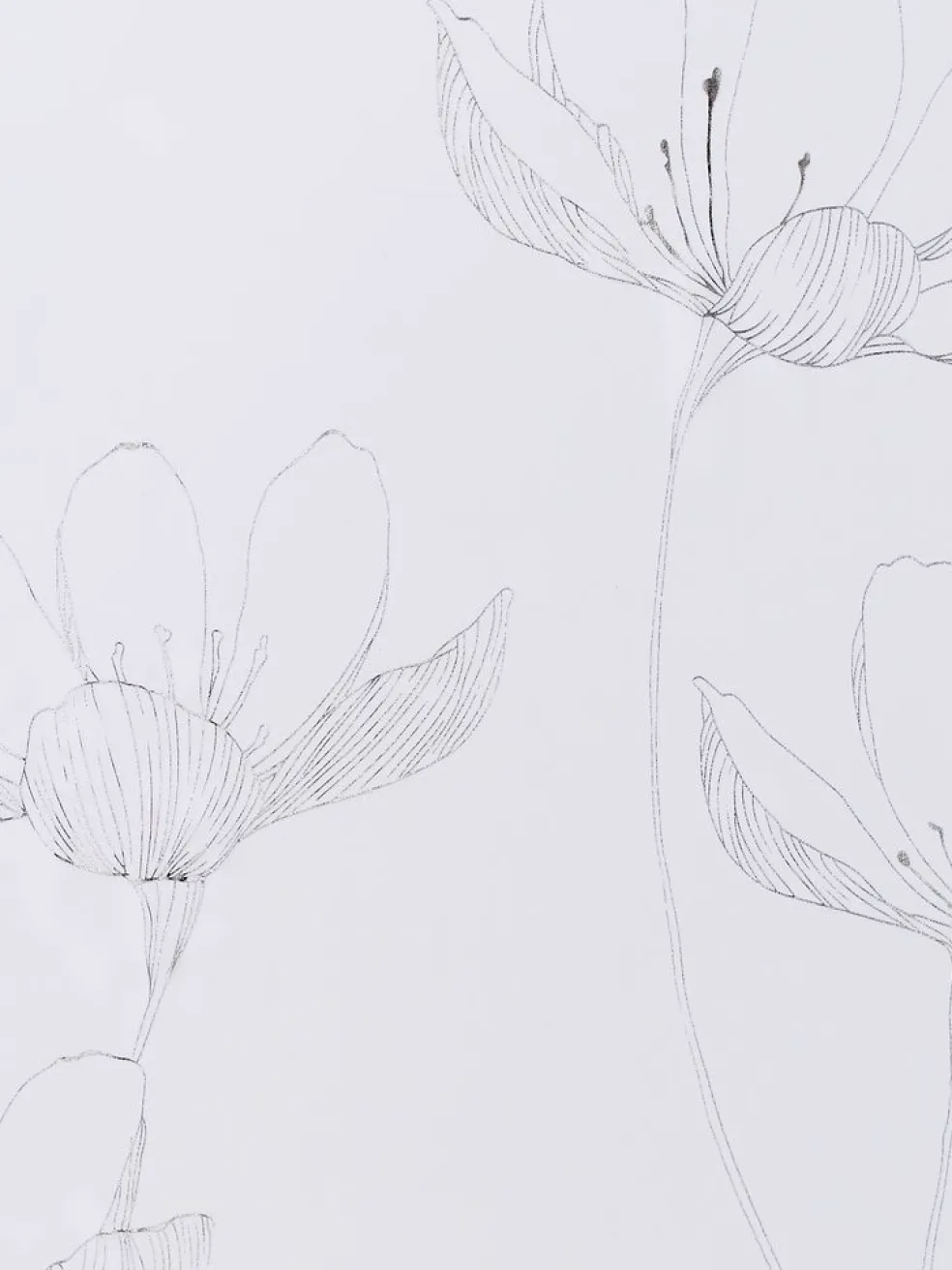 HESSARideau HESSA 1x140x300 argenté/blanc