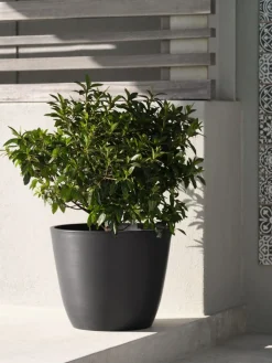 HVEPSBac à fleurs HVEPS Ø53xH41 gris