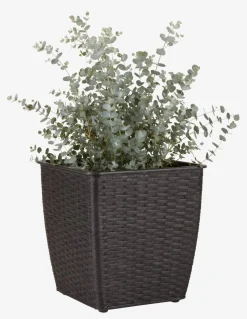 ISLOMPanier pour plantes ISLOM 31x31x32 assorti