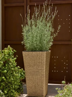 KUBBPanier pour plantes KUBB l36xL36xH70 naturel