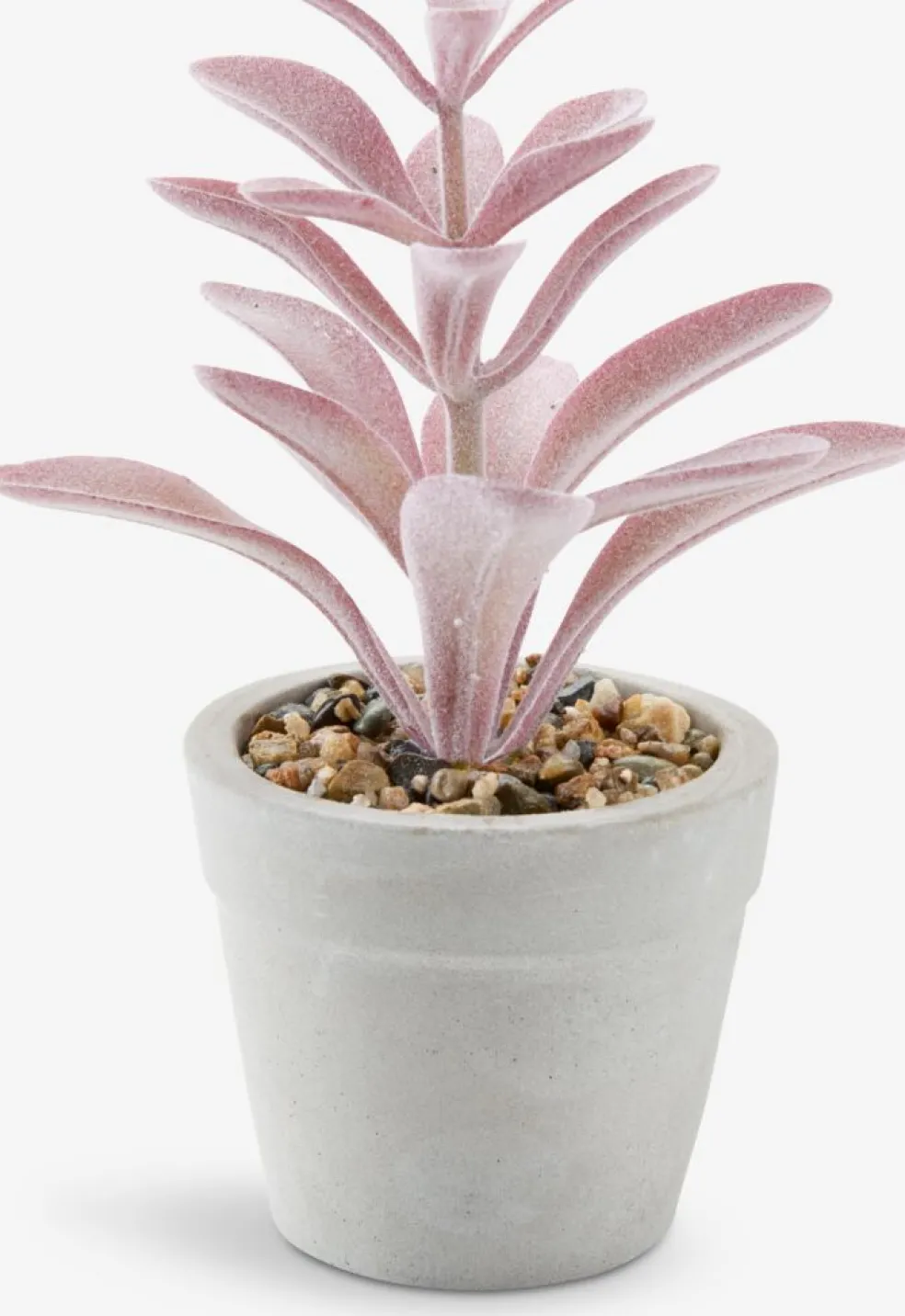 LOVEPlante artificielle LOVE Ø7xH15 ass.