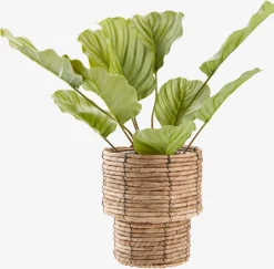 PETTERCache-pot PETTER Ø19xH21cm naturel