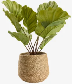 SEVERINCache-pot SEVERIN Ø20xH17cm naturel