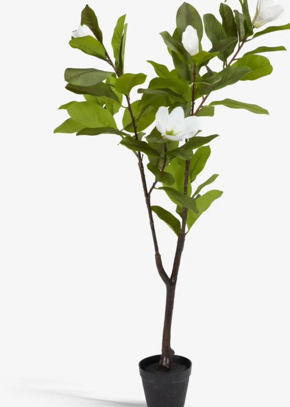 SPINDELPlante artificielle SPINDEL H120cm magnolia vert/blanc