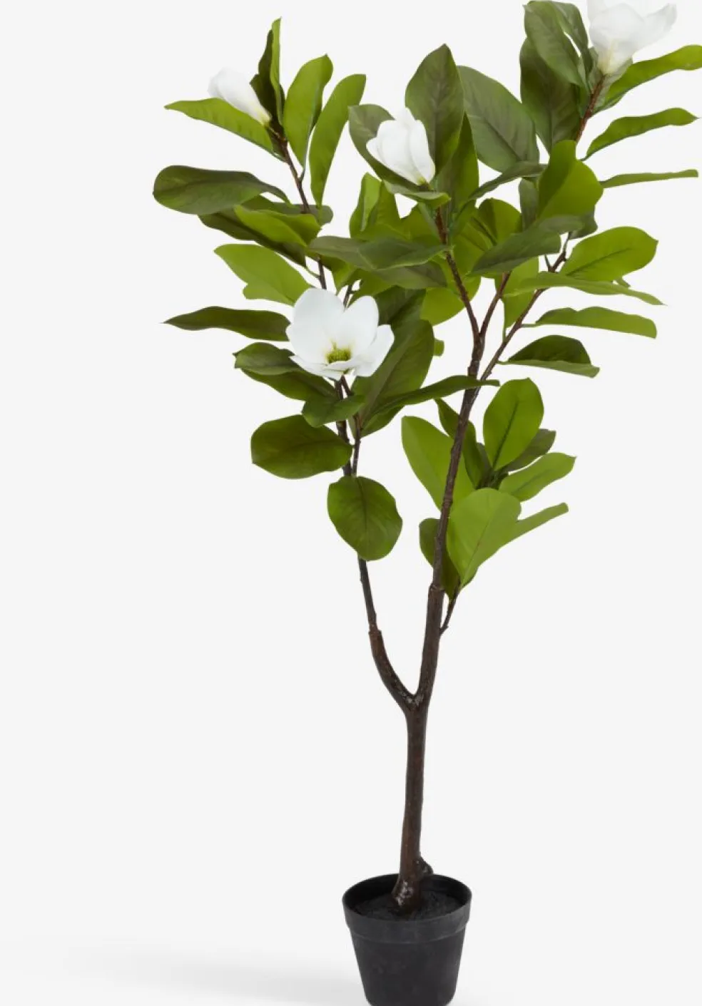 SPINDELPlante artificielle SPINDEL H120cm magnolia vert/blanc